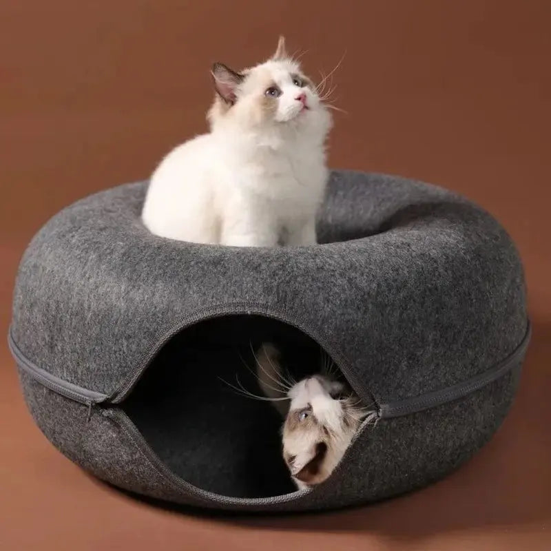 anti-ennui pour chat
