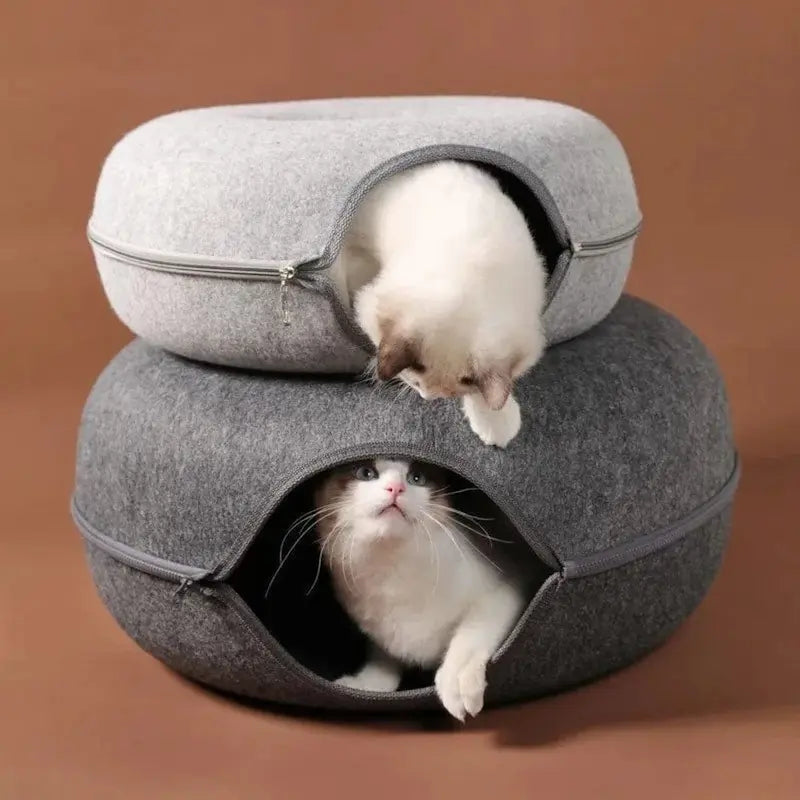 cachette fun pour chat
