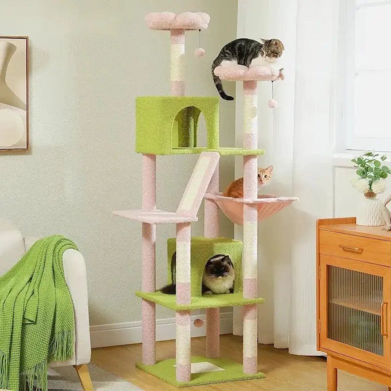 aire de jeu pour chat large