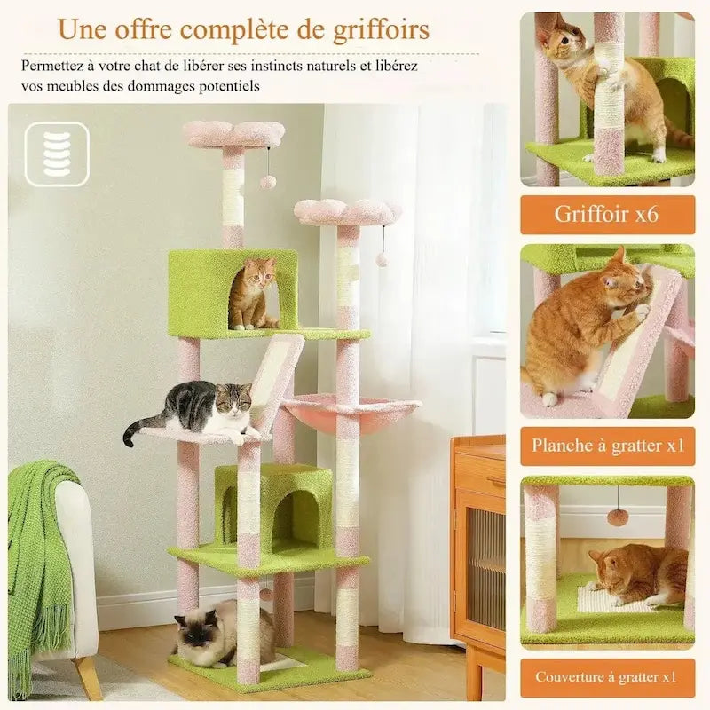 design élégant pour chat