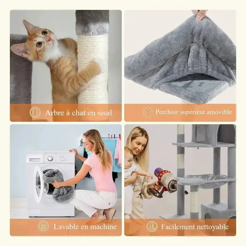 structure robuste pour chat