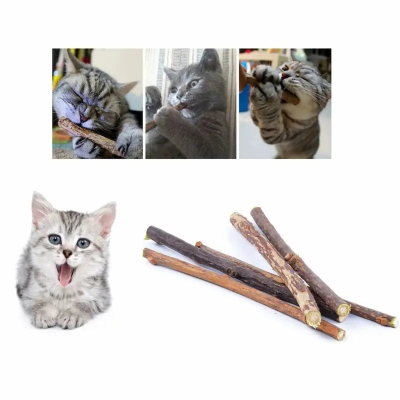 bâton de Silvervine pour chat