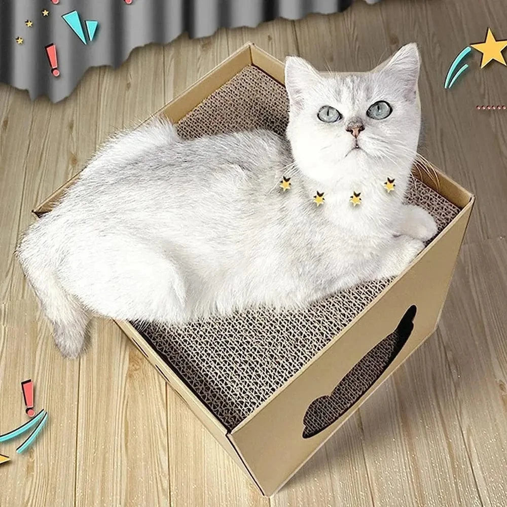 anti-canapé ScratchBox