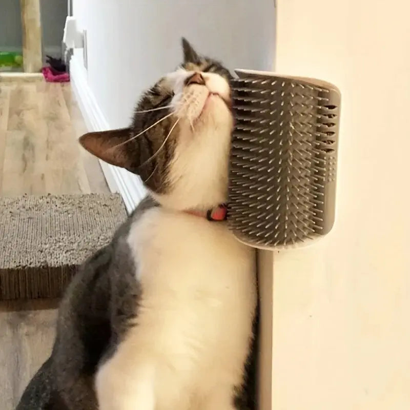 brosse murale pour chat