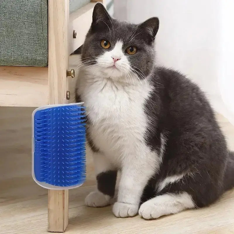 outil toilettage félin