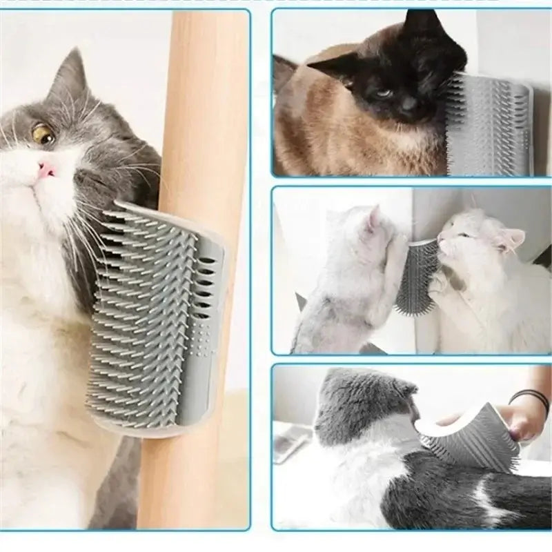 massage murale chat