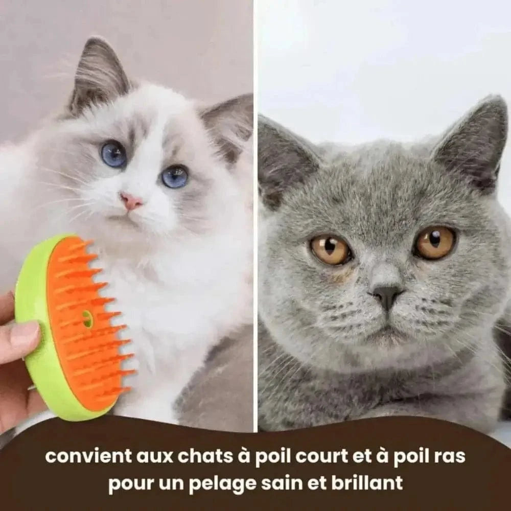 Brosse vapeur pour poils de chat