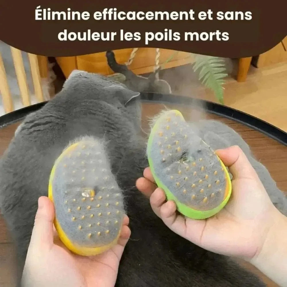 Toilettage vapeur félin
