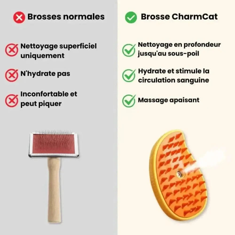 Massage apaisant pour chat