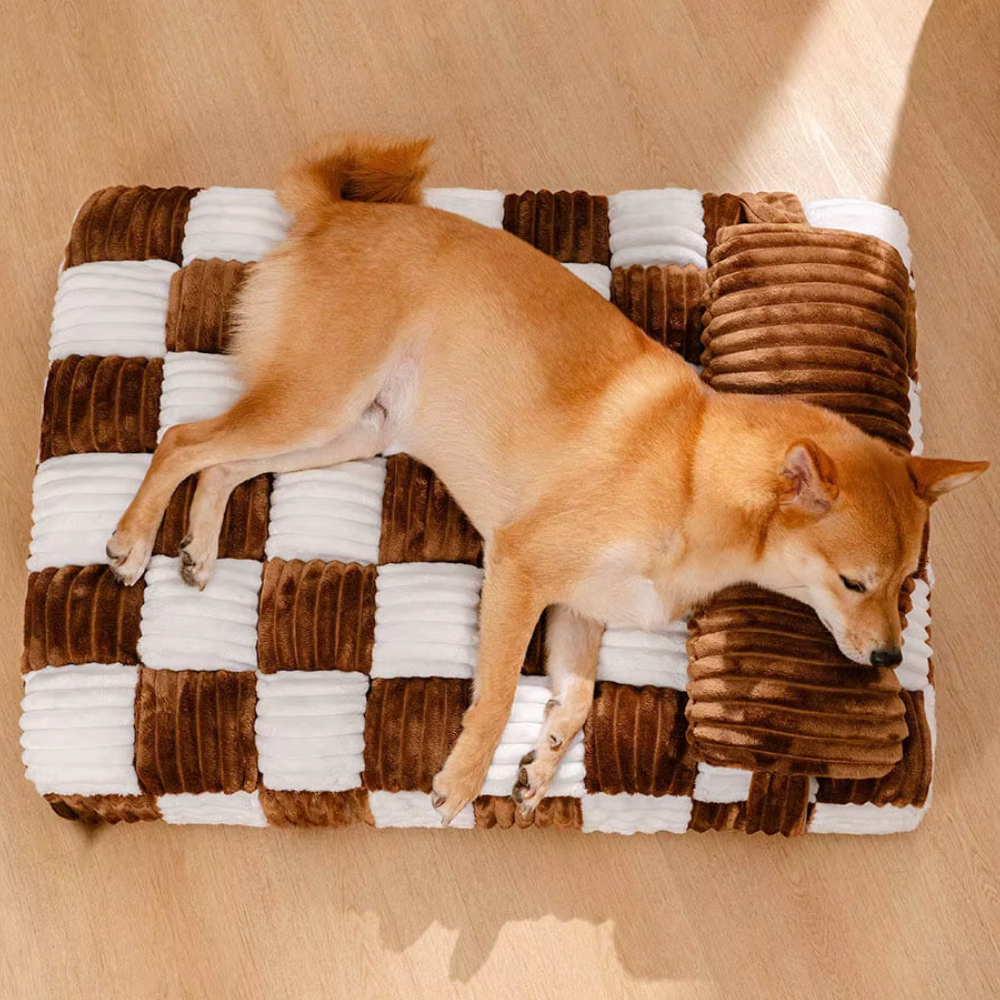 housse lavable canapé chien