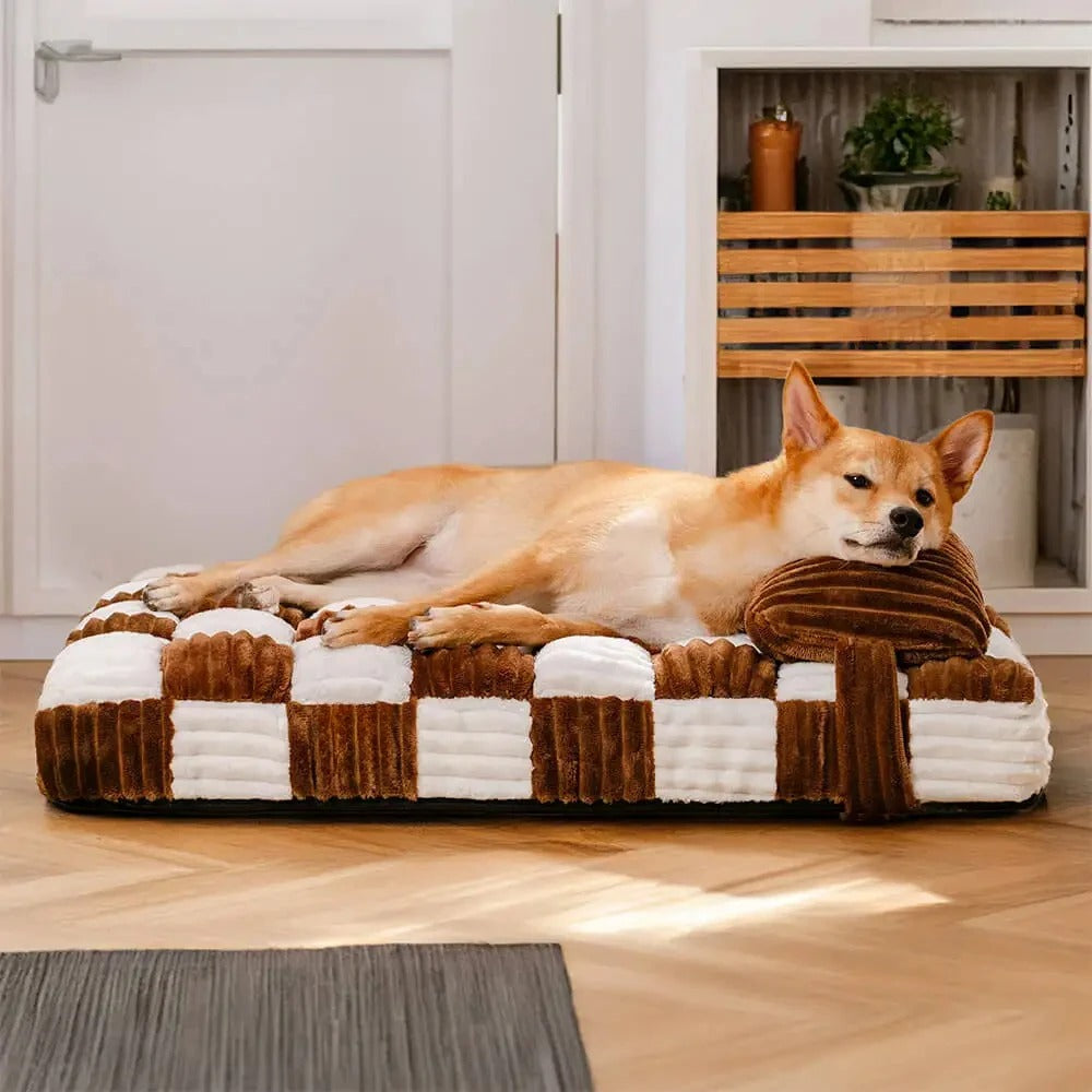 canapé chien orthopédique
