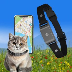 Collier GPS chat sans abonnement Trakino