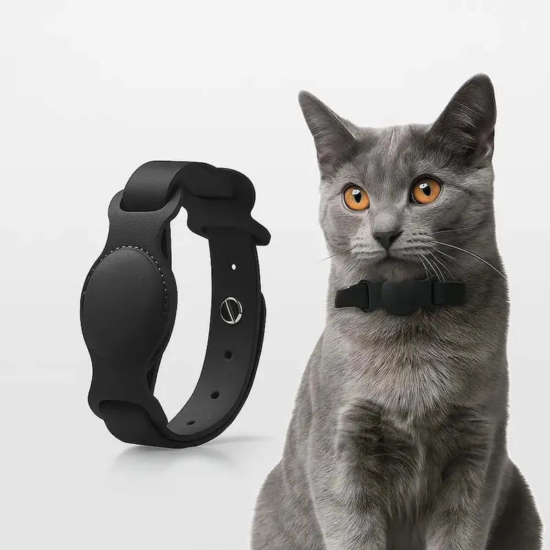 collier TrackiPet