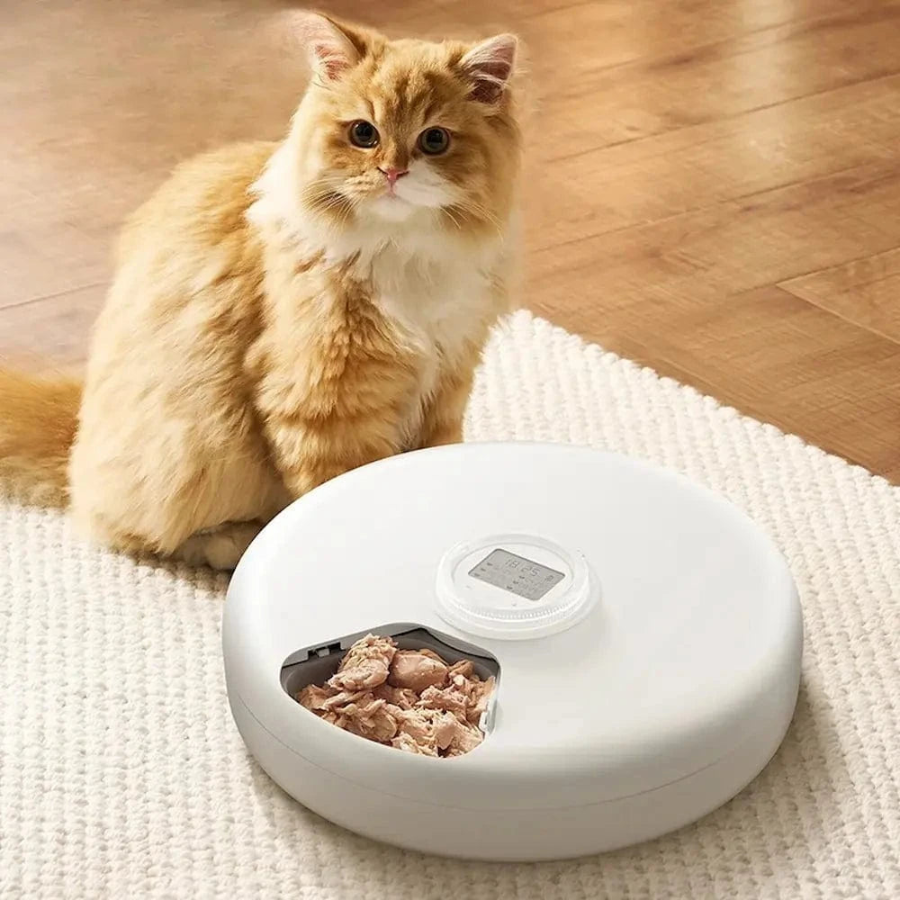 distributeur automatique croquettes PetiPlan