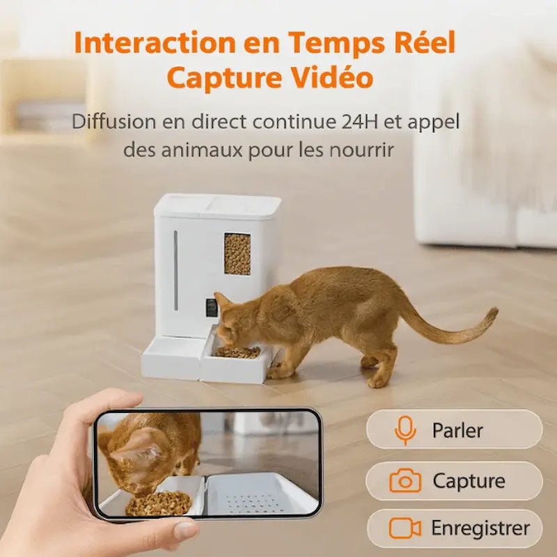 nourrisseur automatique chat