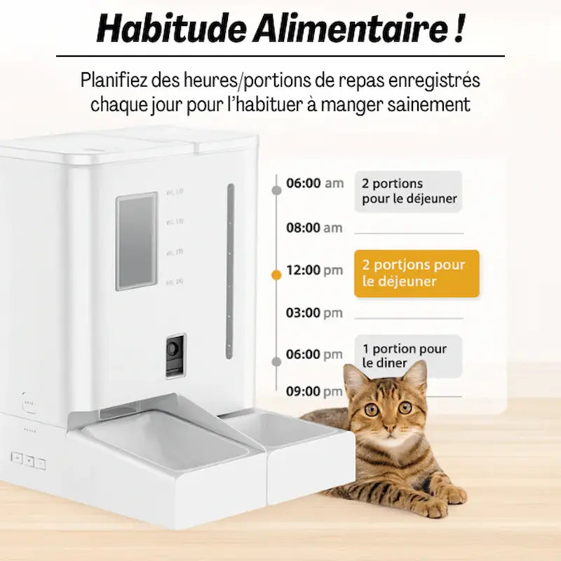 distribution automatique eau chat
