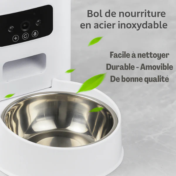 surveillance féline Petivue