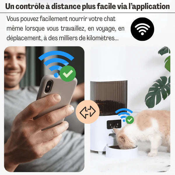 nourrisseur connecté chat