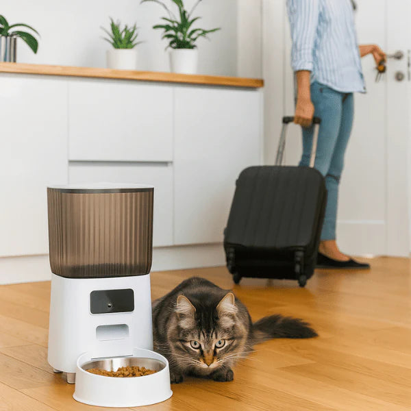 caméra pour chat