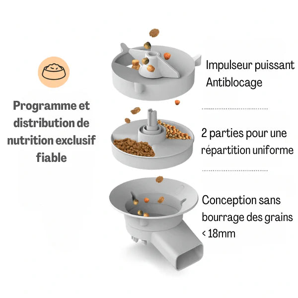 alimentation chat Petivue