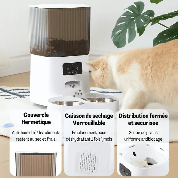 vidéo chat Petivue