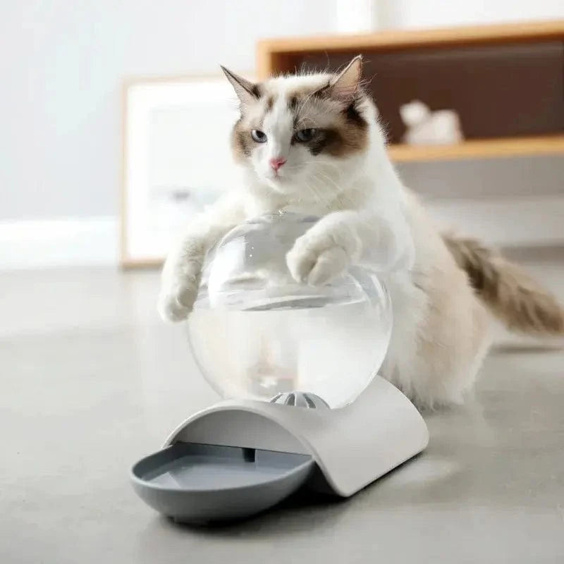 distributeur eau chat 2,8L sans filtre
