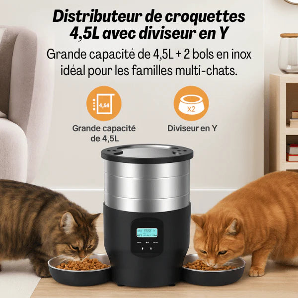 distributeur croquettes pour chats