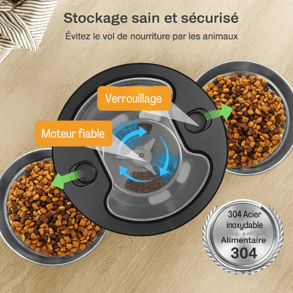 moteur discret distributeur croquettes