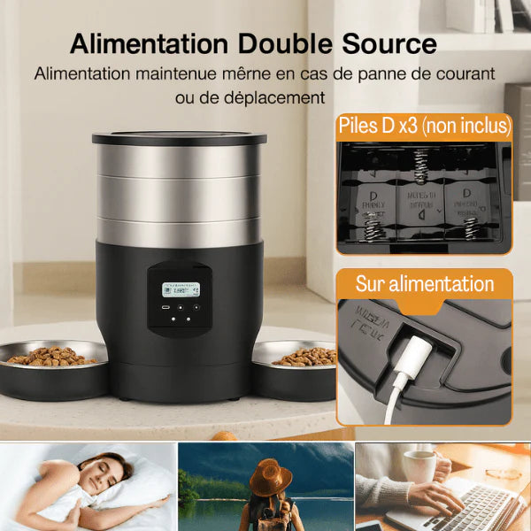 bols acier inoxydable pour chat