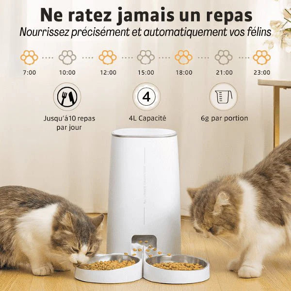 AutoMeal pour chats