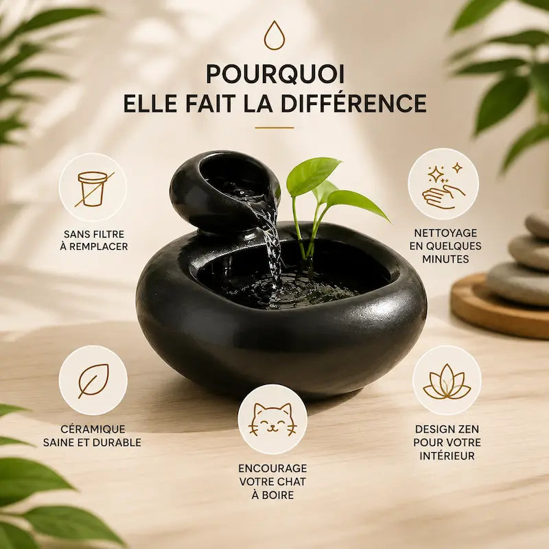fontaine sans filtre pour chats