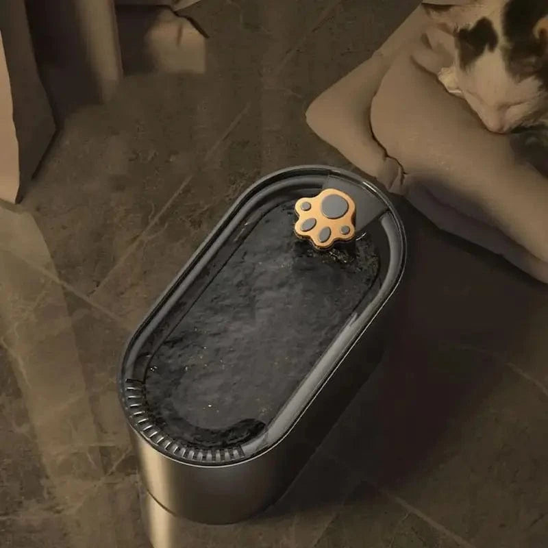 fontaine LED douce pour chat
