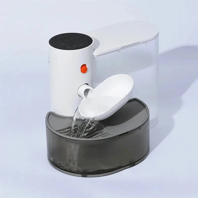 eau fraîche pour chat