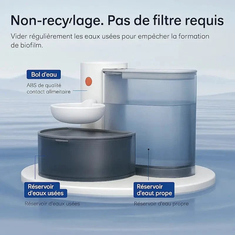 autonomie fontaine chat