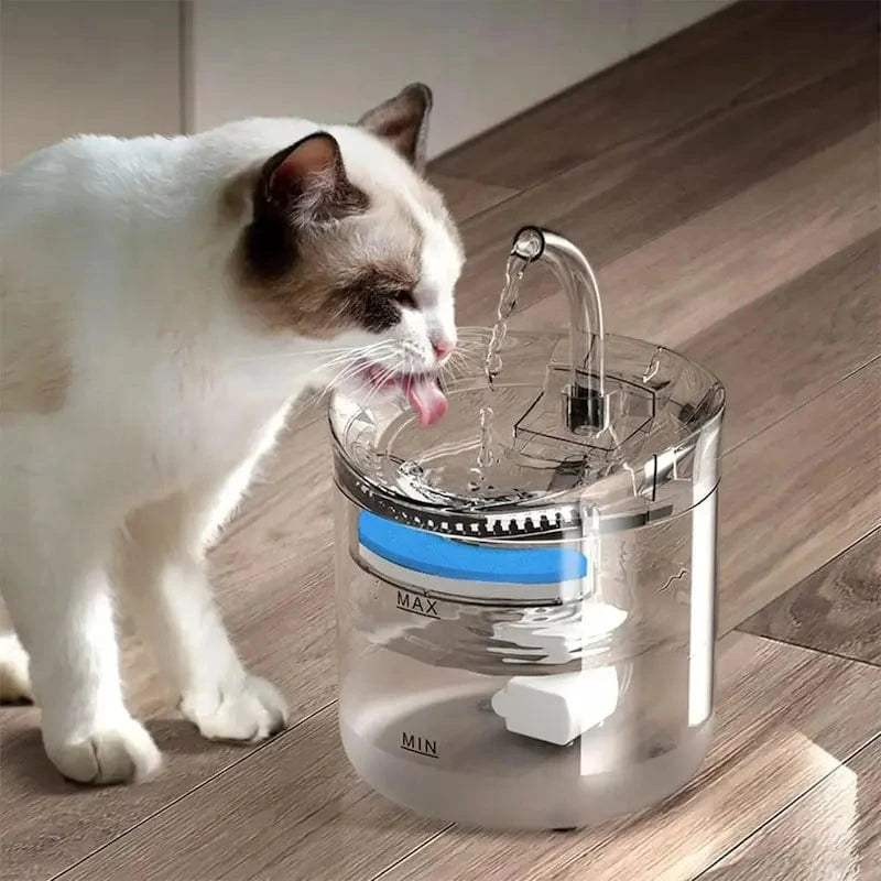 fontaine chat 2L design avec capteur