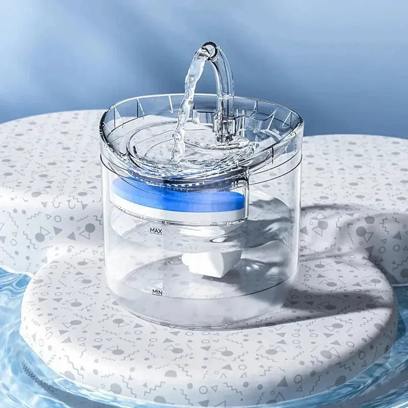 fontaine chat eau filtrée