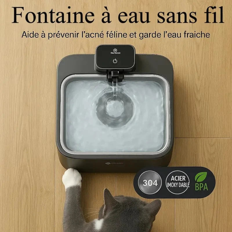 fontaine anti-germes pour chat