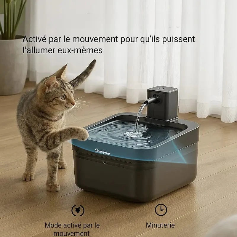 fontaine DownyPaws