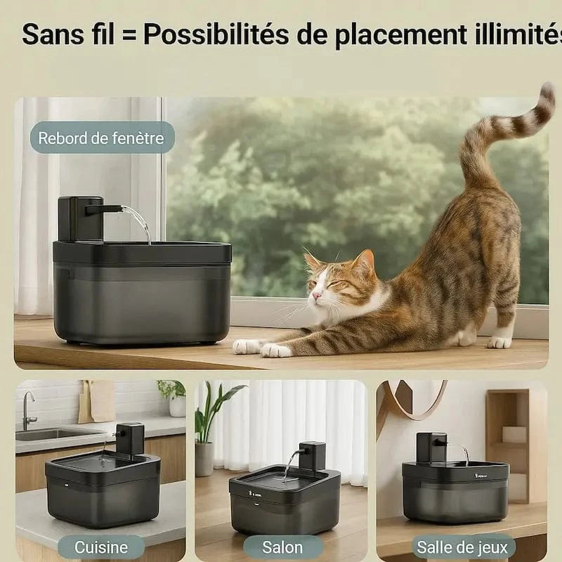 eau propre et fraîche pour chats