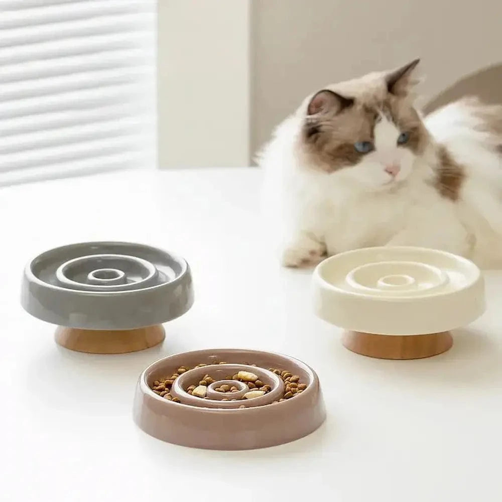 gamelle anti-glouton en céramique pour chat