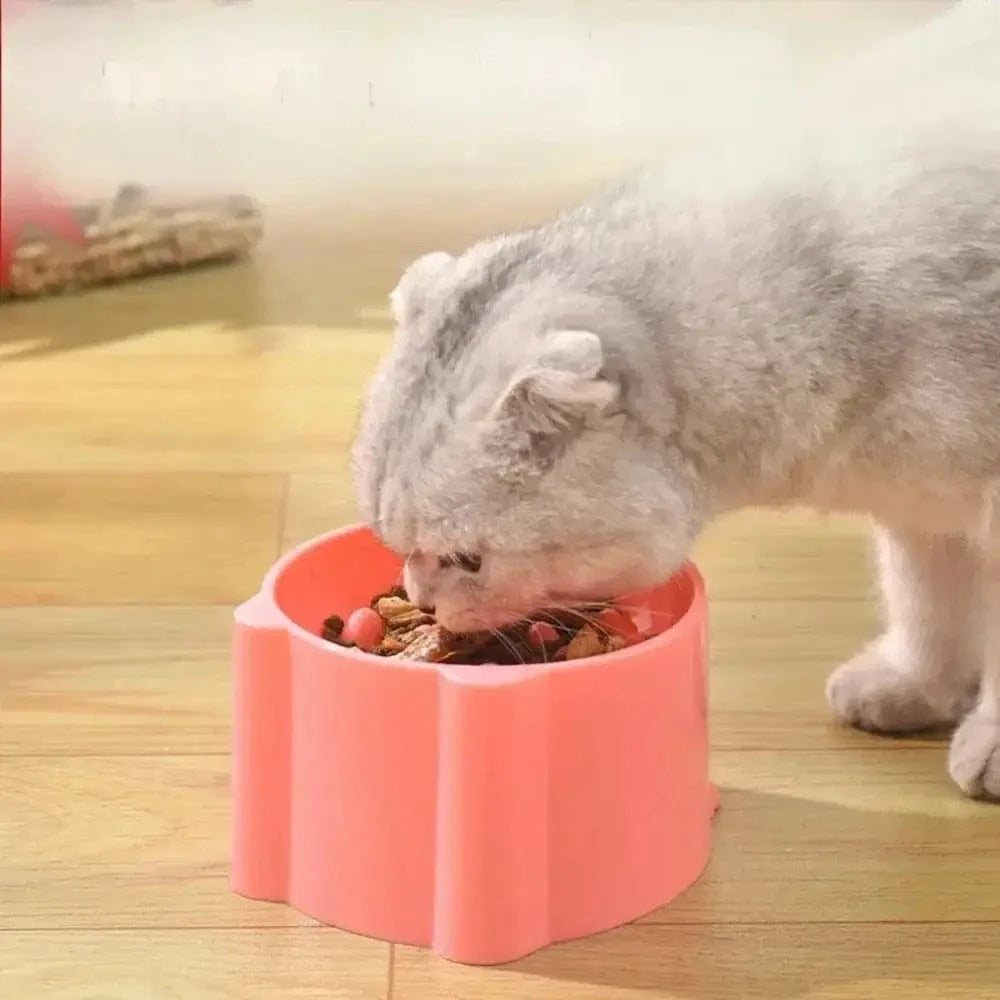 digestion lente chat