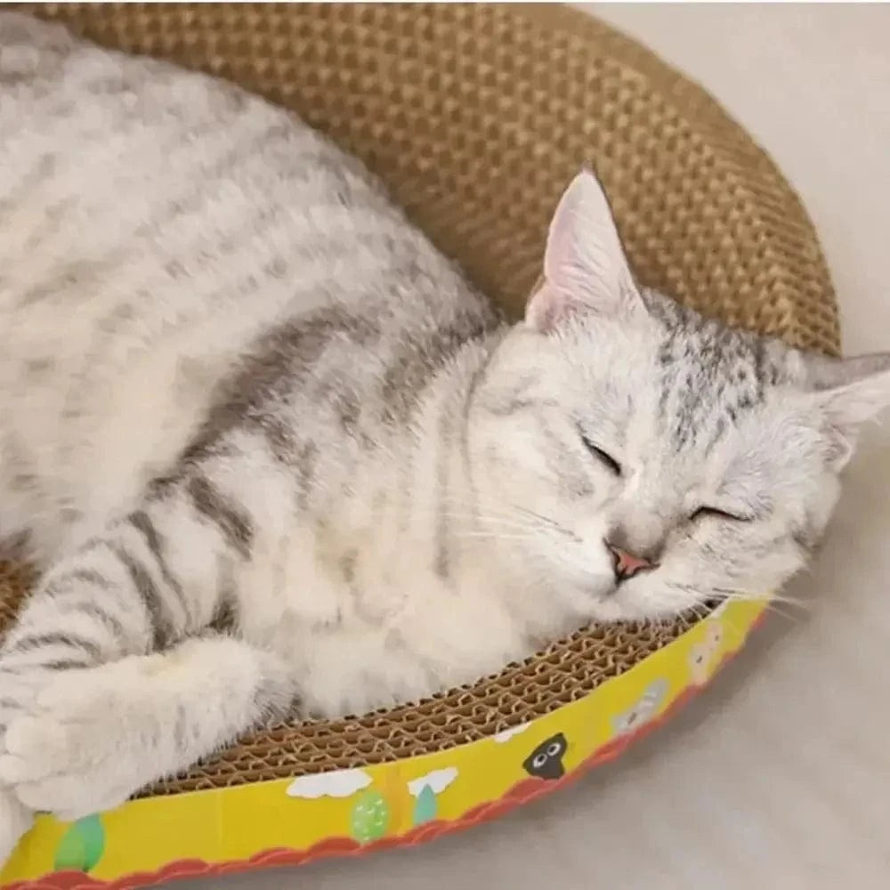 Griffoir pour chats moderne