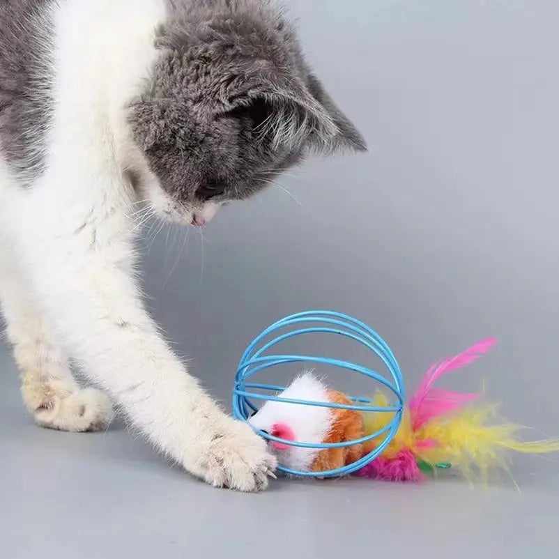 jouet chat boule
