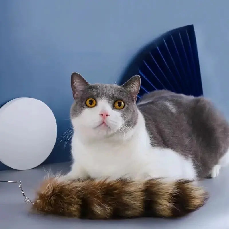 plume réaliste pour chat