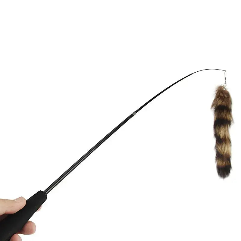 jeux pour chat plume
