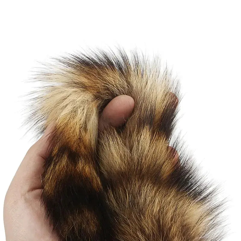 chat amusé par plume