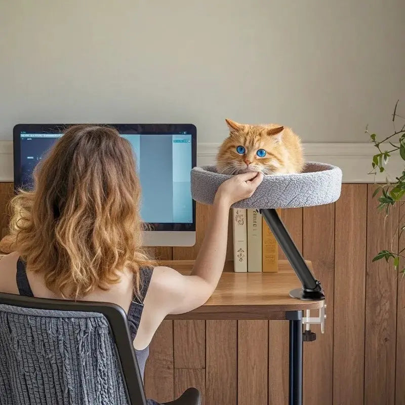 lit chat bureau