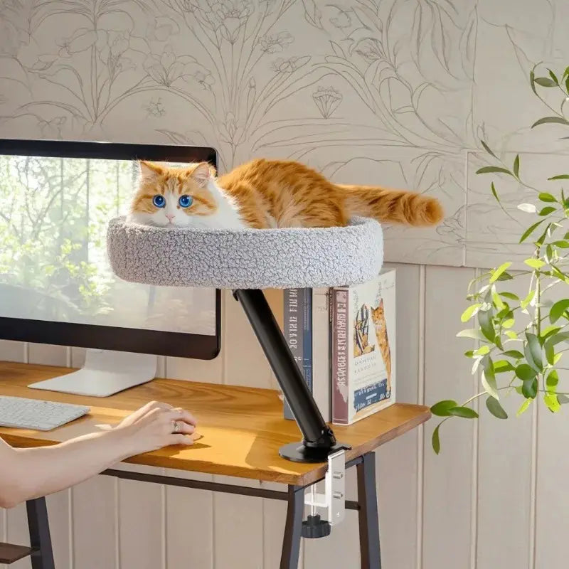 MiaouDesk design compact