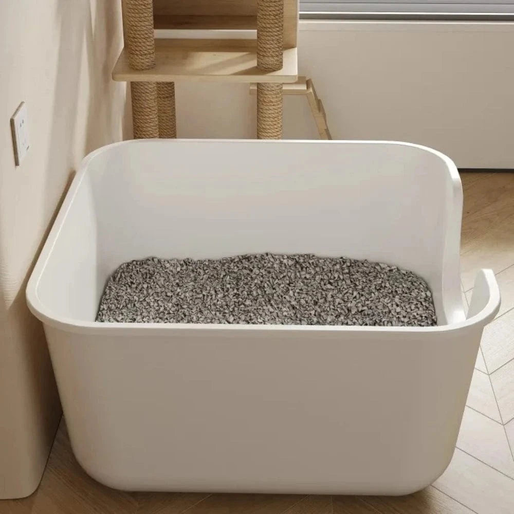 confort pour grands chats