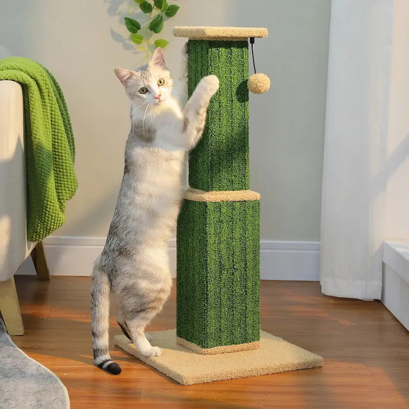 grande poteau à gratter pour chat